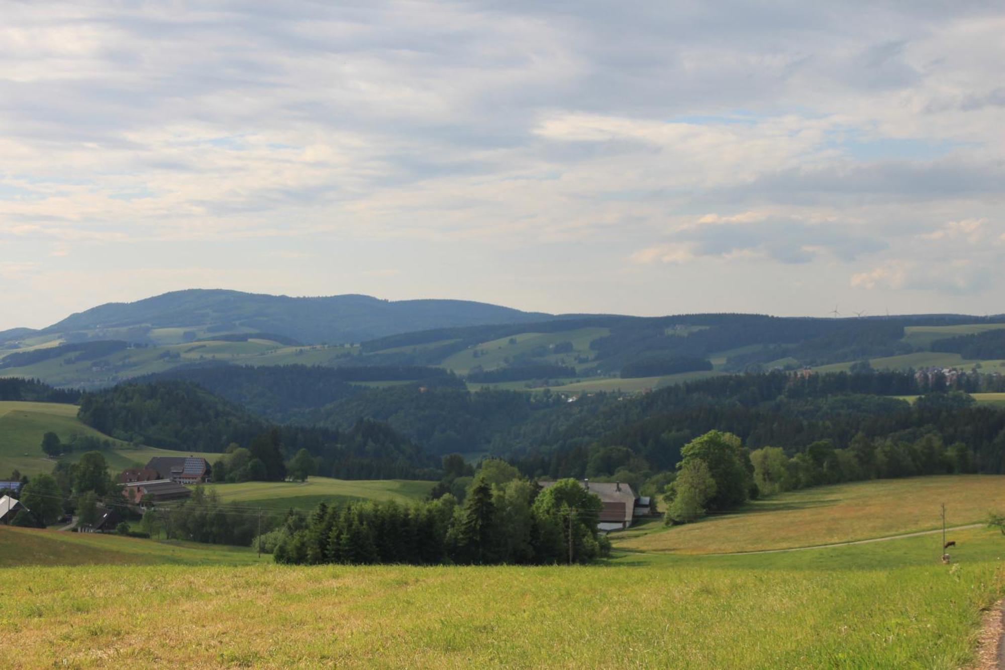 Ferienwohnungen Rebstock Schonach im Schwarzwald Exterior foto